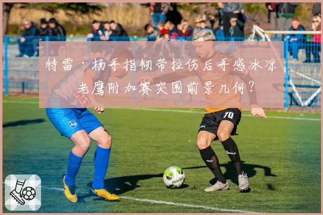 特雷·杨手指韧带拉伤后手感冰凉，老鹰附加赛突围前景几何？