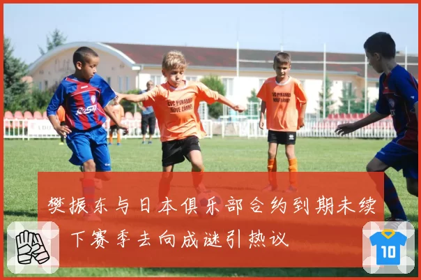 樊振东与日本俱乐部合约到期未续，下赛季去向成谜引热议