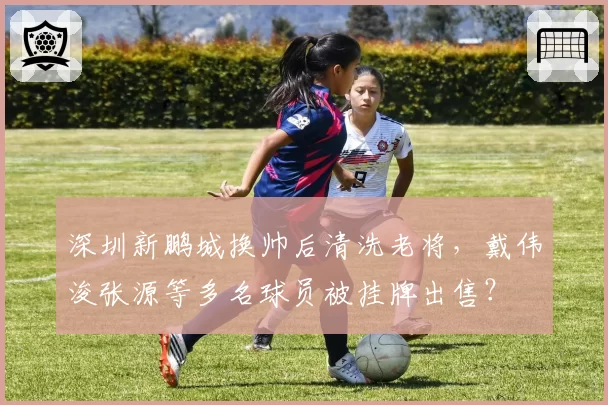 深圳新鹏城换帅后清洗老将，戴伟浚张源等多名球员被挂牌出售？
